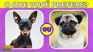 O QUE VOCÊ PREFERE? PINSCHER OU PUG? Jogo das Escolhas l Edição: Cachorros l Parte 2