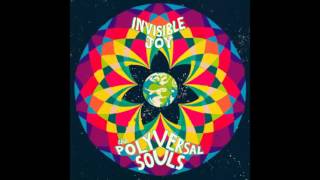 Polyversal Souls - Sad Nile (feat. Hailu Mergia)