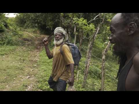 TRAIL HUNTER JAMAICA