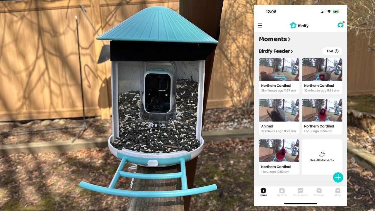 Netvue Birdfy Smart Bird Feeder | FULL Setup, Demo + Review