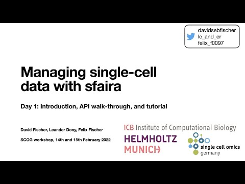 SCOG Workshop "Sfaira", 2022 - Day 1