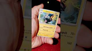 let's have us a journey tonight #pokemon #pokemonchannel #pokemoncards #pokemontcg