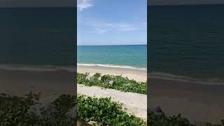 Download lagu chalet su mp3