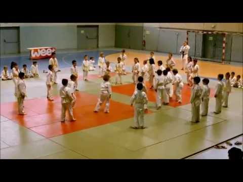 judo show 2016 Kanbo Judo