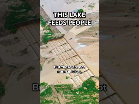 Aymara's Lake Titicaca: Drying Lake Feeds Andes