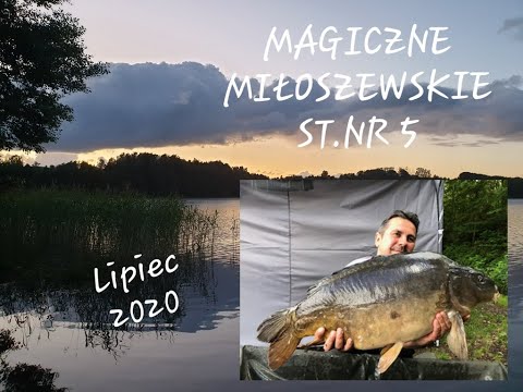 Miłoszewskie Karpiowanie Lipiec 2020