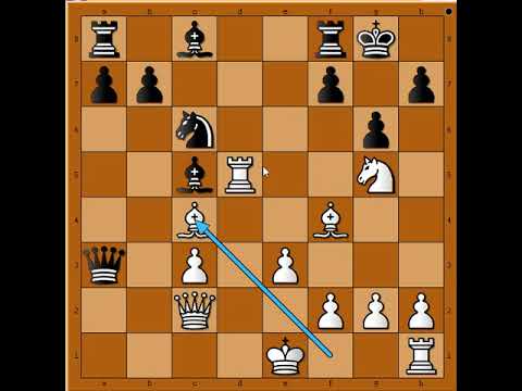 Vezivanje figura po sistemu zaveži pa vladaj uzmi i stradaj ‼️ PORTISCH vs BERGER #2509