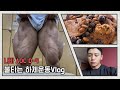 [대회준비 Vlog] 나바 D-9ㅣ아프니깐 하체다 (ft. 아직 한발 남았다) Leg day❤️‍🔥 프로틴 팬케익 레시피 공개