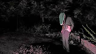 Heather in the hospital (partial Avey Tare acoustic cover)