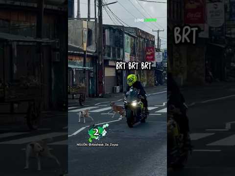 Những Khoảnh Khắc Hài Hước Nhất Của Biker Khi Gặp Chó 😂 #shorts