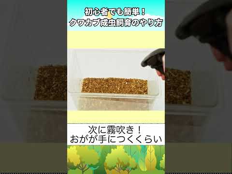 カリウム石鹸：昆虫を自然に駆除するためにどのように使用すればよいですか？  庭園