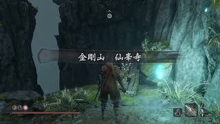 【SEKIRO】葦名一心に蹂躙される【第二十五回】
