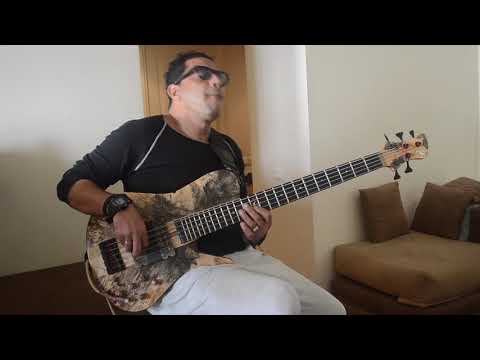 Shaun Martin yellow jacket (7 summers) by Youssef Bouchou