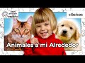 Animales A Mi Alrededor Clásicos De Baby Einstein BabyEinsteinenEspanol