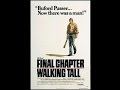 Walking Tall - The Final Chapter (1977)