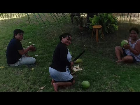 download lagu mp3 mp4 Beach Juice Rose, download lagu Beach Juice Rose gratis, unduh video klip Beach Juice Rose