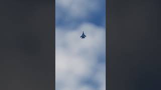 Su-33 Double hammerhead turn  #dcsworld #dcs #flightsimulator
