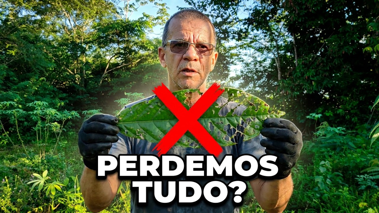 O  YouTube atual: Por que decidi ajustar a direção!