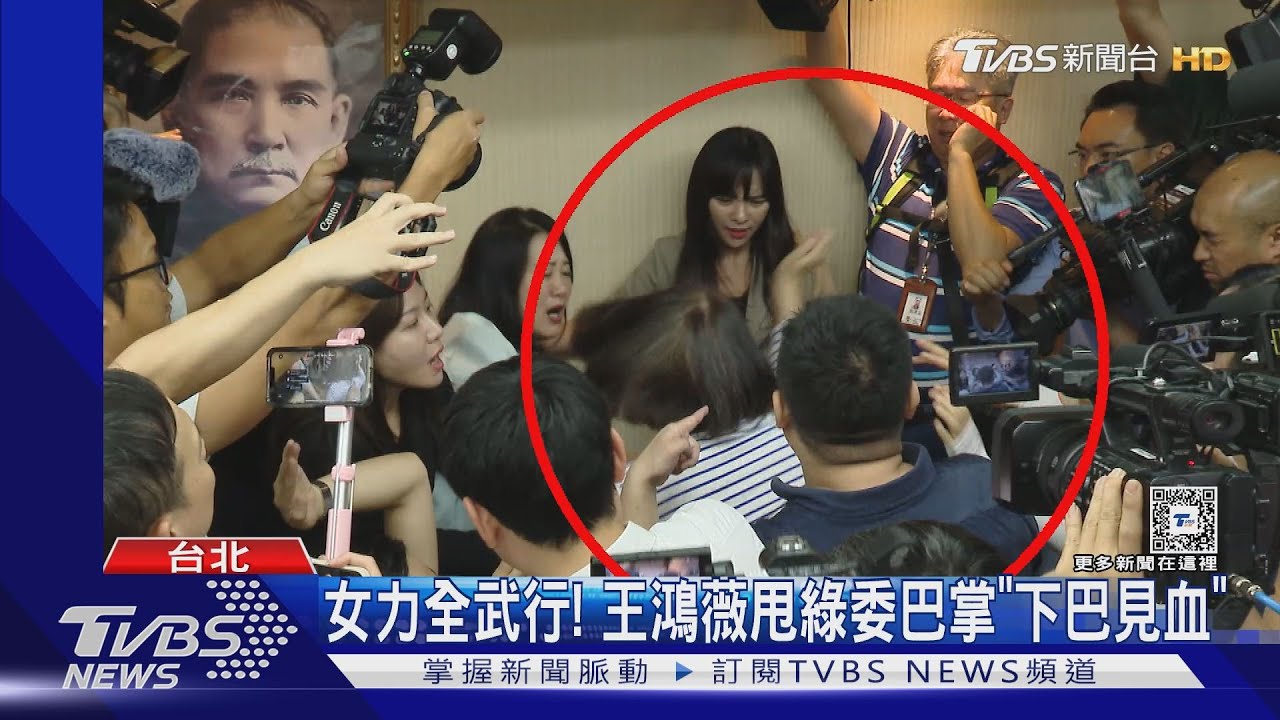 女力全武行! 王鴻薇甩綠委巴掌「下巴見血」