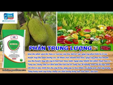 Siêu phẩm NPK Korea Vina - Phân bón thật cho người Việt