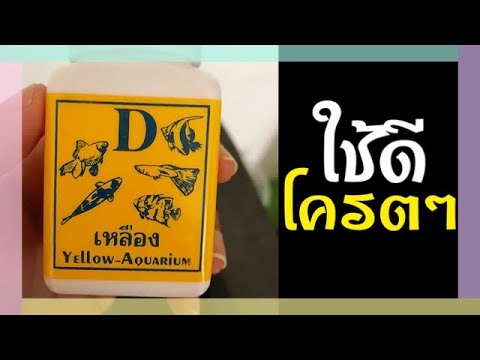 คลินิกรักษาโรคสะเก็ดเงิน แผ่นโรคสะเก็ดเงินที่เล็บกว่าการรักษา