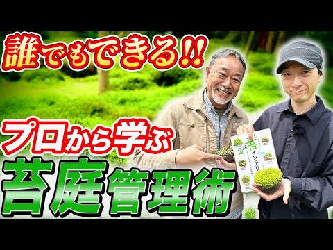 芝生からコケを取り除くにはどうすればよいですか？庭のコケを取り除くための最良のヒント  庭園