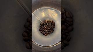 Download lagu #tokoafung Robusta Bali Kintamani #coffee #espressolover mp3 Download lagu #tokoafung Robusta Bali Kintamani #coffee #espressolover mp3