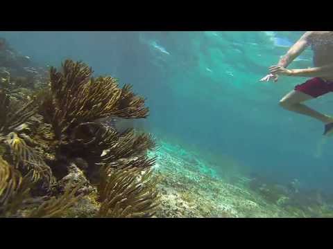 Underwater Bromance, Snorkelling Riviera Maya GoPro Hero3 Black Edition