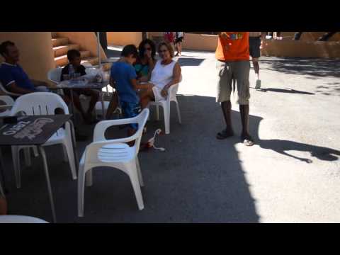 True Ibiza Stories @ the Hippy Market Punta Arabí, Ibiza