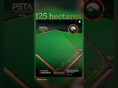 Fazenda de 125 hectares a venda em #roraima Mucajai