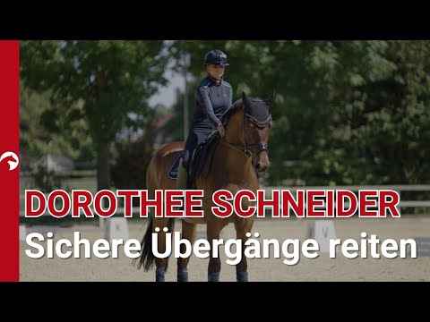 Feine Übergänge trotz natürlicher Schiefe - Wie rahme ich mein Pferd richtig ein?