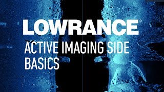 Lowrance 3 in 1 transducer