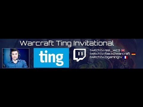 [GER] TWI - Group A LB Final - [N] Foggy vs. Anima [H]