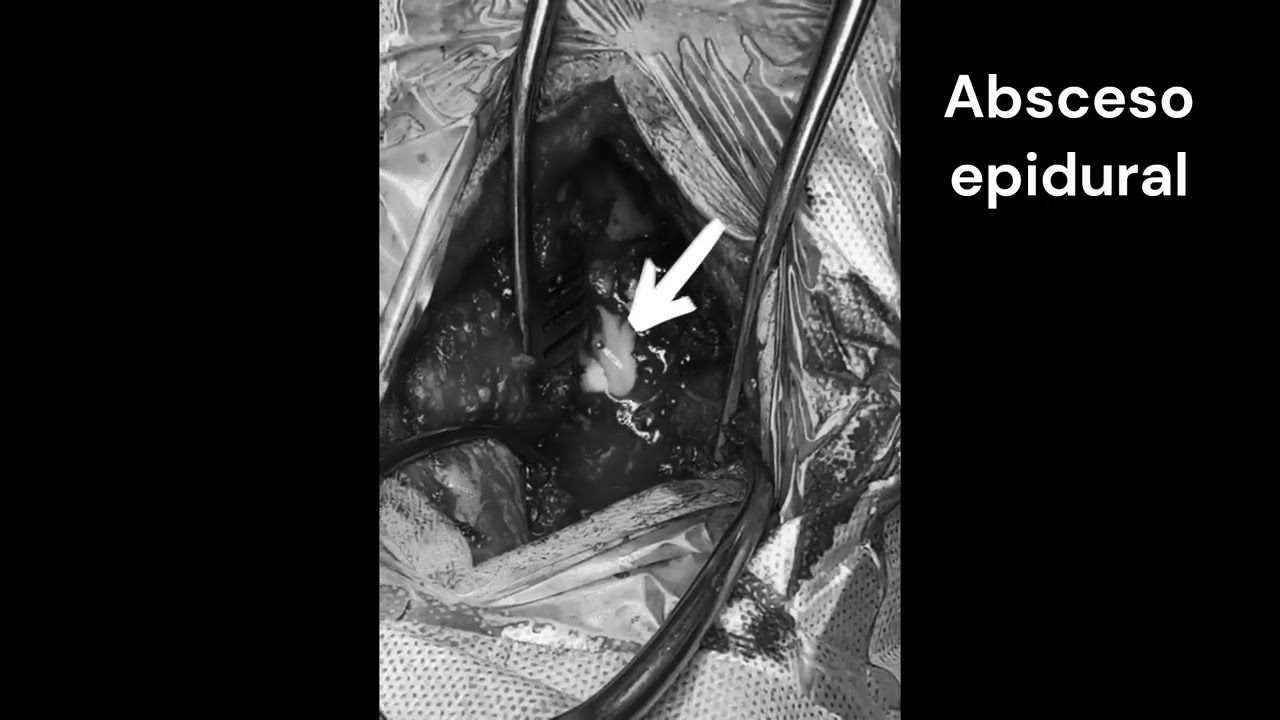 David Tafur Muñoz-2454