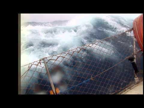 Volta ao Mundo Veleiro Don