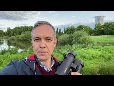 Sommartips - fågelskåda på Frescati