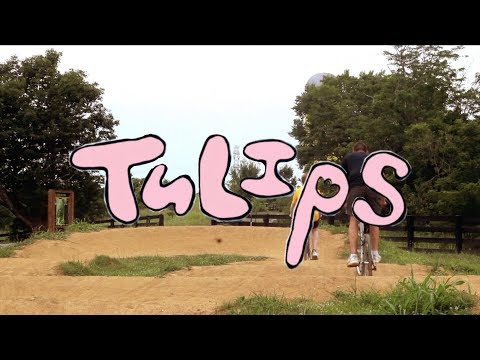 Tulips - Stranger Club