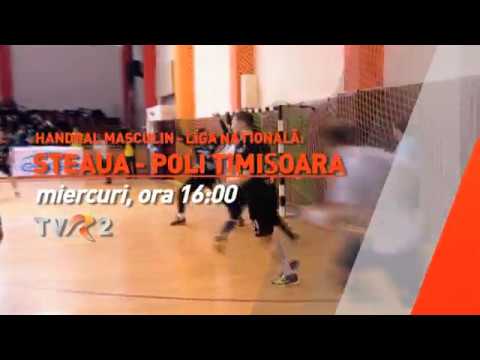 Handbal masculin, Steaua-Poli Timişoara