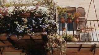 Santiago Cruz - Baja la guardia (letra)