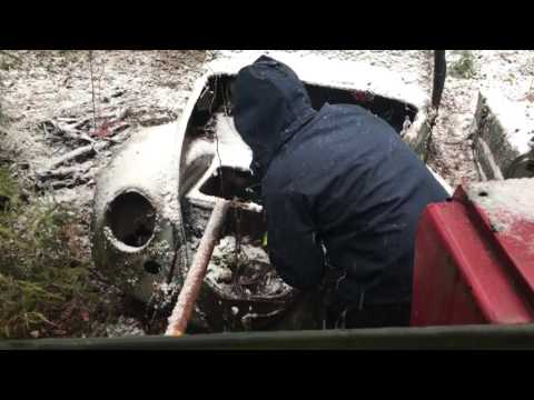 vw beetle rescue