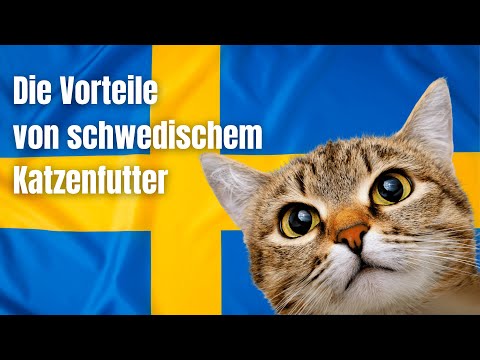 ANIfit Katzenfutter Test - Vorteile von 🇸🇪 schwedischem Katzenfutter