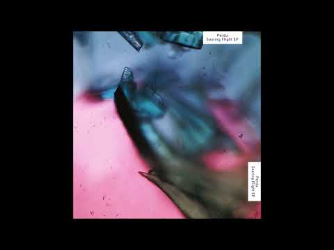 PERDU (feat TJADE) - DYSTOPIA [LIVE AT ROBERT JOHNSON]