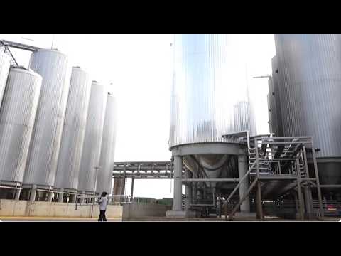 Businesses Count Losses After Nationwide Power Outage | Market Place (30-07-2026)