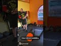 Classic Strongman 150lb Circus Dumbbell