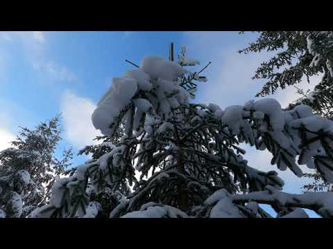 Winter day trip in the mountains Krkonose - Harachov