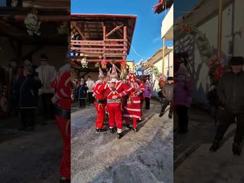 Tradiții din Leucuşeşti 2024-2025