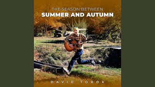 Fool's Gold (feat. Shannon Vanderlaan &amp; Christopher Patrick Dubuc-Penney)