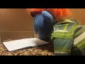 Dear Diary Life With Humans