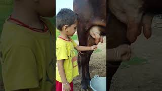 Download lagu choti choti gaiya ttt #song #devotionalsongs mp3