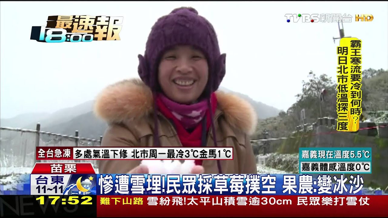 慘遭雪埋!民眾採草莓撲空 果農:變冰沙